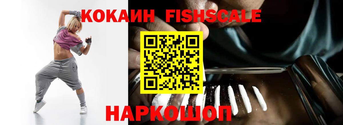 где купить наркоту  Вход с VPN  Кокаин 99%  Камышлов  КОКАИН Fish Scale 