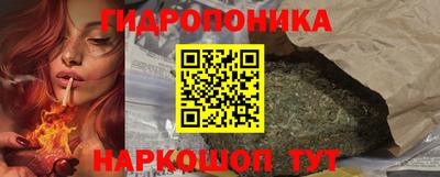 СК Кингисепп