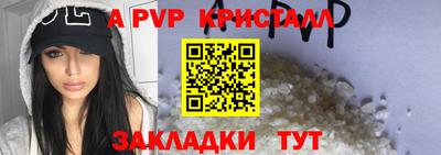 СК Кингисепп