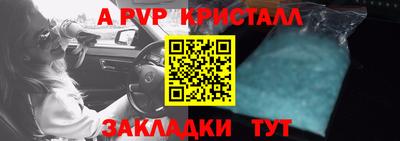 СК Кингисепп