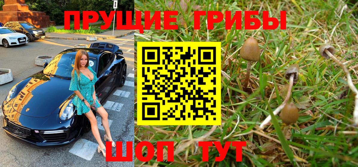 Псилоцибиновые грибы Psilocybine cubensis  хочу   Камышлов  Вход с VPN  Галлюциногенные грибы Psilocybine cubensis 