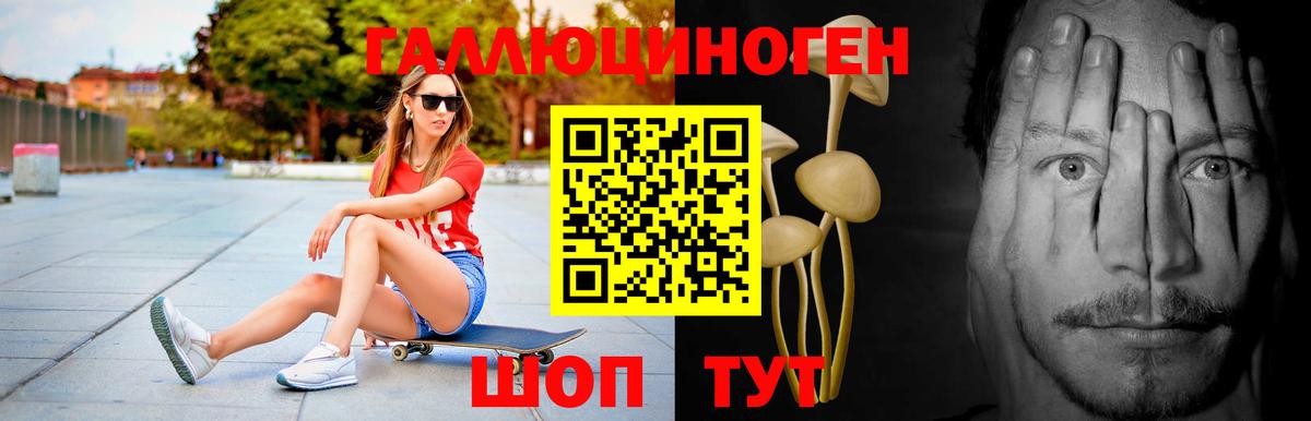Галлюциногенные грибы прущие грибы Камышлов